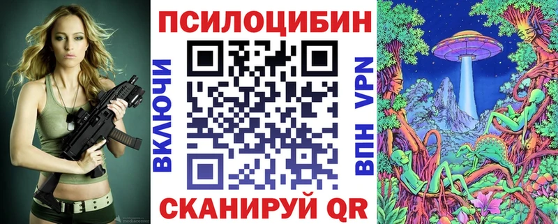 Галлюциногенные грибы Psilocybe  Саяногорск 